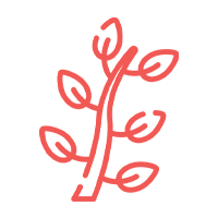 eucalip