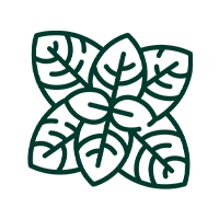 menta2