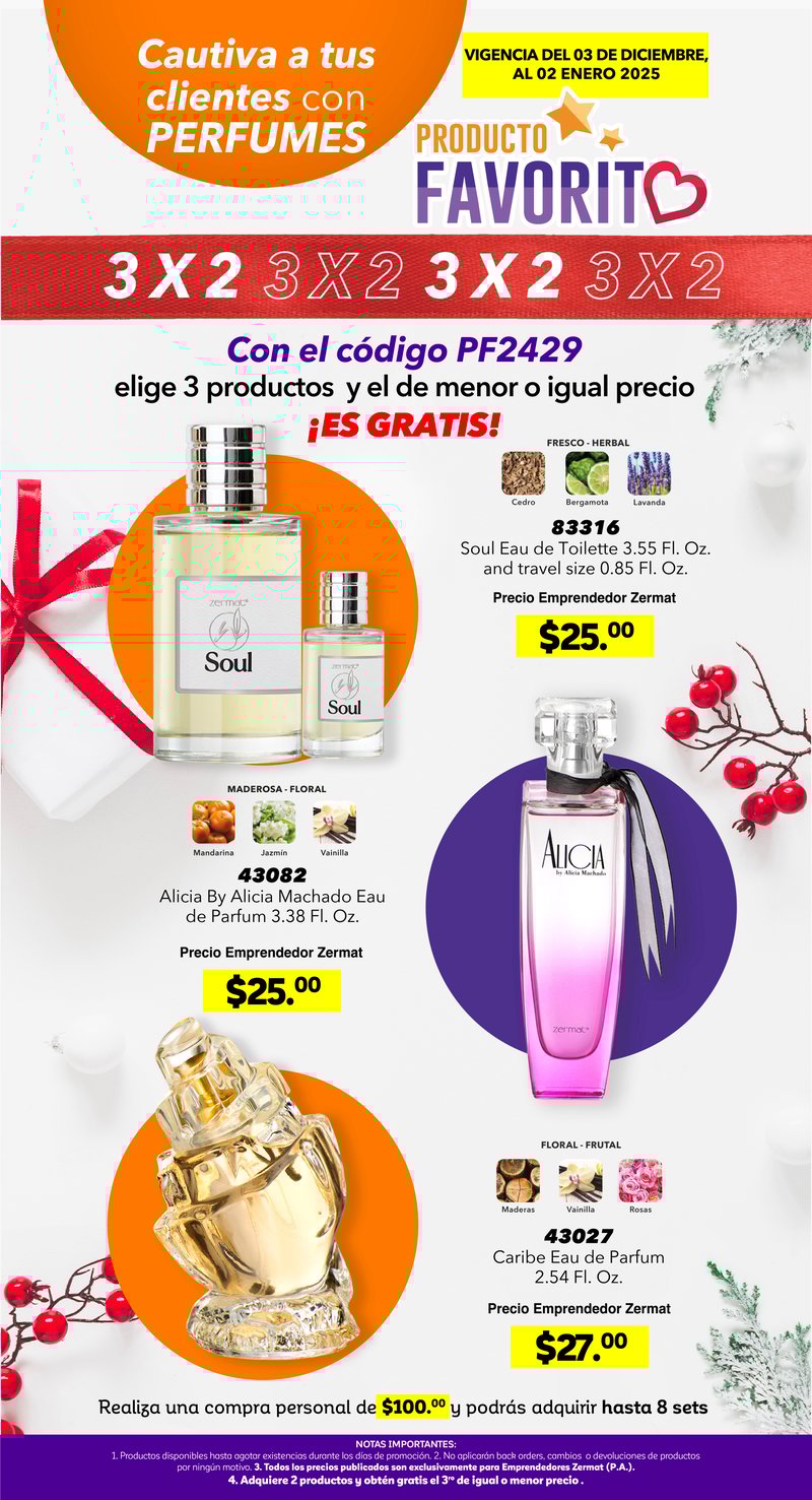 12 MAG GOALS DIC 24-2_17 PRODUCTO FAV