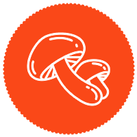 ICON-Aug-01-2023-03-38-52-8387-PM