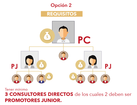 PROMOTOR CERTIFICADO 2png