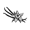 vaini